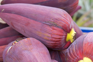 baba figue, fleur comestible du bananier, Réunion
