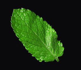 Mint leaf on black background © Africa Studio