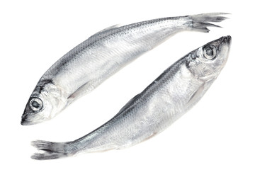 Fresh fish isolated on white