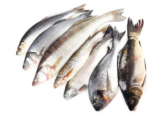 Fresh fish isolated on white