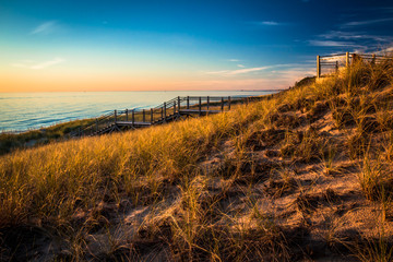 Grassy Dunes Lakeshore. Glowing Beach at Sunset. Natural Beauty Background with Gorgeous Copy Space.