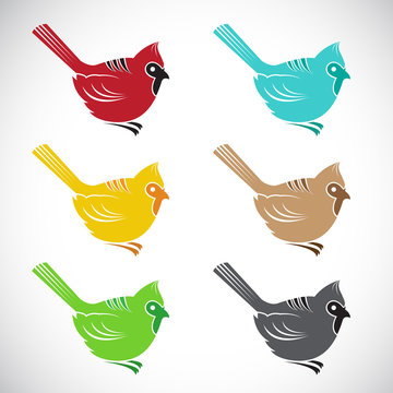 Set of vector bird on white background