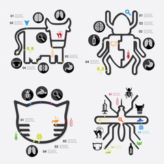 veterinary infographic