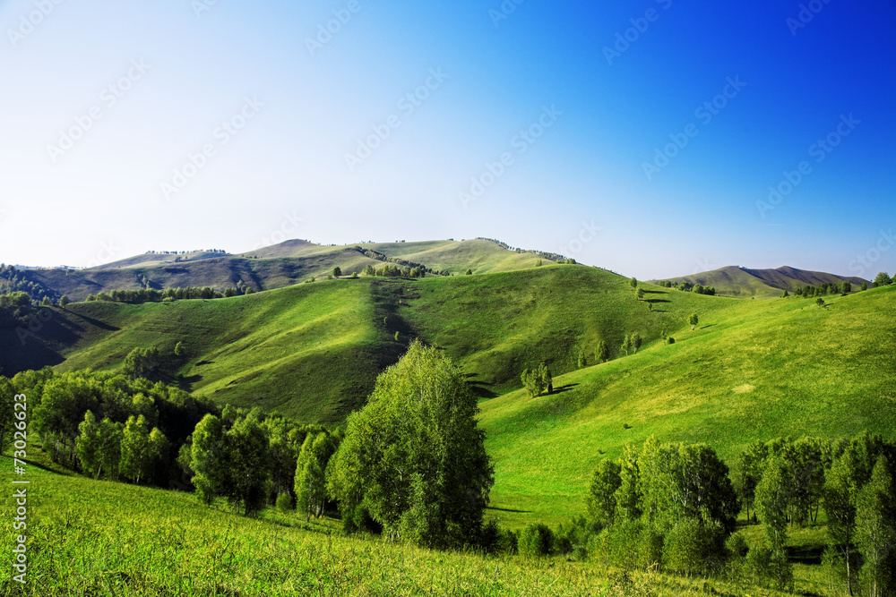 Wall mural landscape with green hills