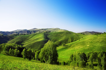 Obraz premium landscape with green hills
