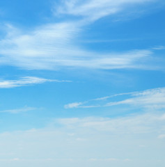 Fototapeta premium clouds in the blue sky