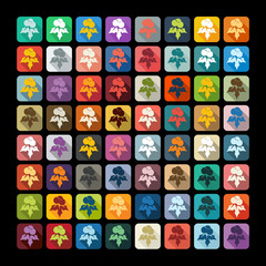 Flat design: holly berries