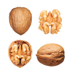 Walnuts set isolated on white - 73028418