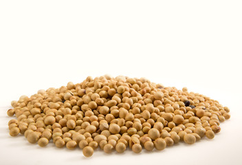 white background with rice