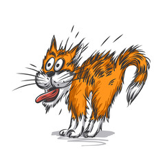 Fototapeta premium Vector sketch of scared cat