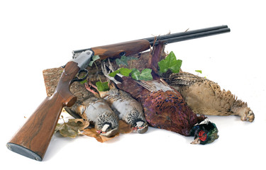hunting games