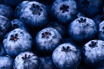Fresh ripe bilberry close up