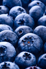 Fresh ripe bilberry close up