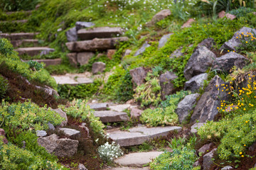 Stony stairs in the green garden