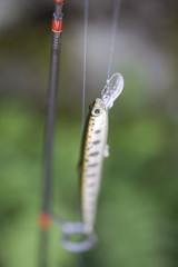 ルアー釣りイメージ