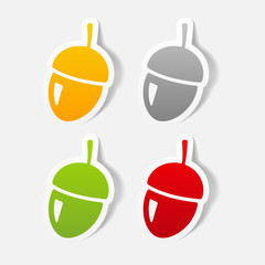 realistic design element: acorns