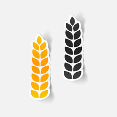realistic design element: ears of wheat