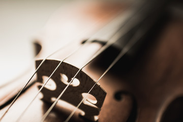 Close up shot of a violin,very soft def of field