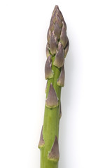 Spargelspitzen, Spargel, gruener, Asparagus officinalis,