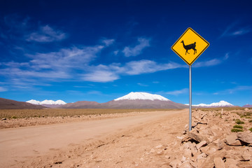 Llama road sign in Bolivia, South America - obrazy, fototapety, plakaty