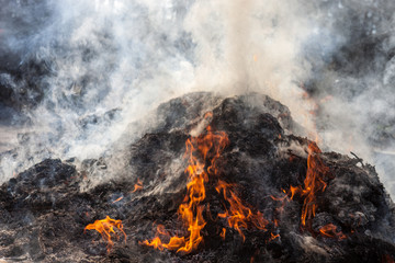 Burning last year's leaves and grass on the fire