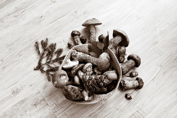 Mixed mushrooms. Black and white image