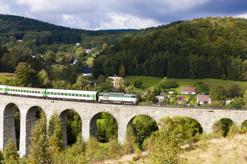 Fototapeta na wymiar passenger train on viaduct Novina, Krystofovo Valley, Czech Repu