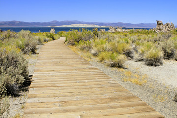 Fototapeta premium Mono Lake