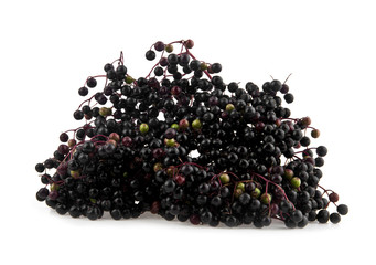 elder