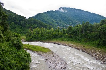 Fototapeta na wymiar River in Sikkim jungle