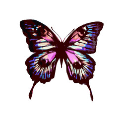 butterflies design