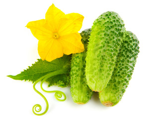 cucumbers