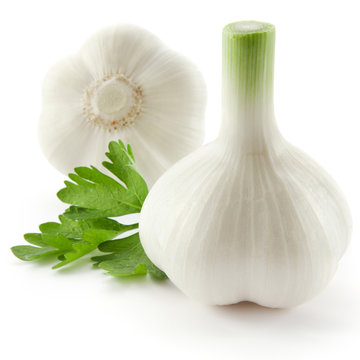 garlic