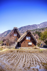 Shirakawago is famous for their traditional gassho-zukuri farmhouses.