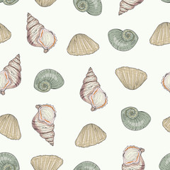 seashells seamless pattern