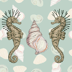 seahorses and shells