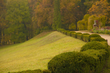 English park  with bushes scene