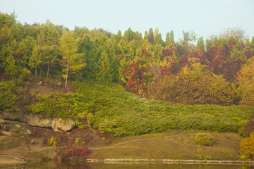 multi colored trees in a park in autumn