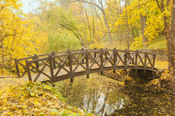 Wooden bridge in old park