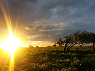 Obraz premium Planes in South America