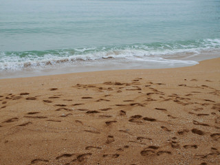 Footprint on the beautiful beach