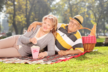 Mature couple enjoying a picnic in the park