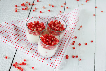 Healthy gluten free panna cotta dessert with  pomegranate seeds