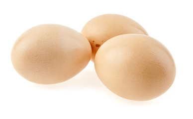 eggs