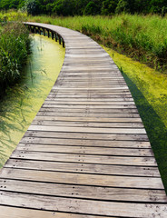 Fototapeta premium Wooden footpath and lake
