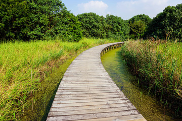 Wooden Bridge over a Pond