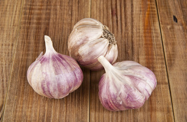 garlic
