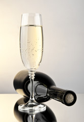 bottle and glass of wine