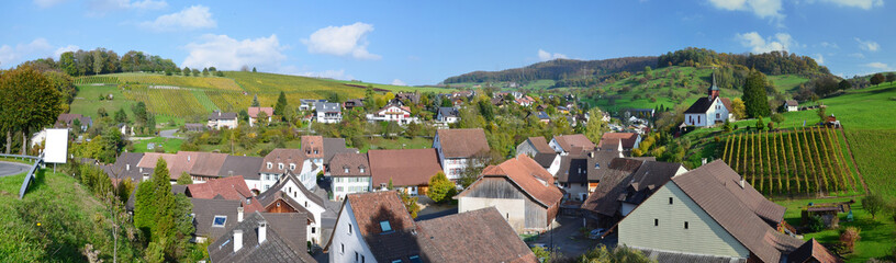 Panorama with the Swiss village Wintersingen - obrazy, fototapety, plakaty