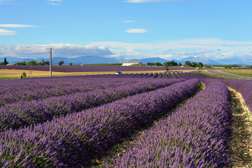 Fototapeta na wymiar Provence rural landscape